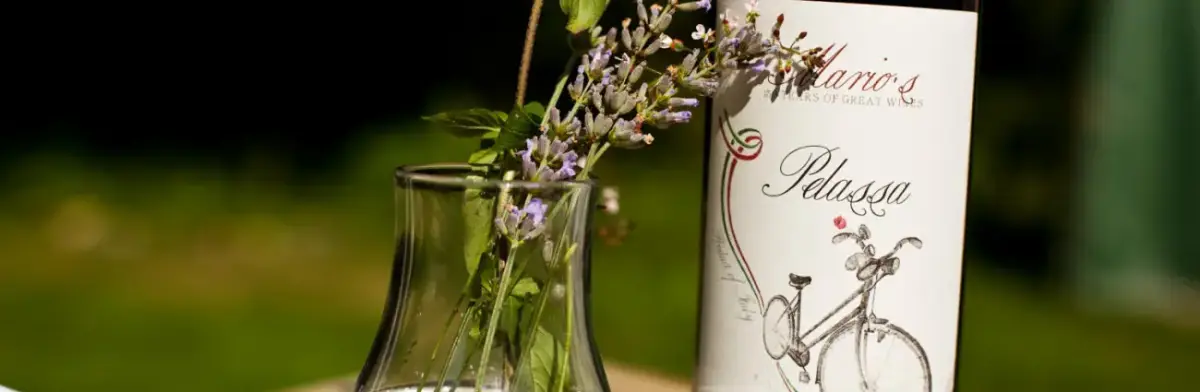 Mario Rosso mit Blumen